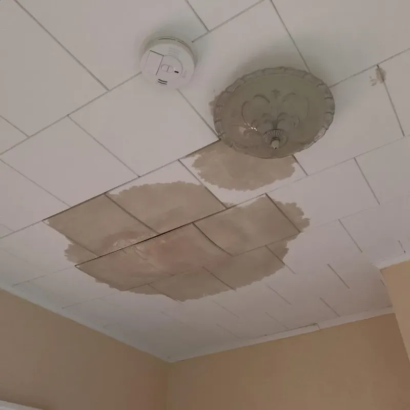 Ceiling Water Damage Repair in Smithfield, NC