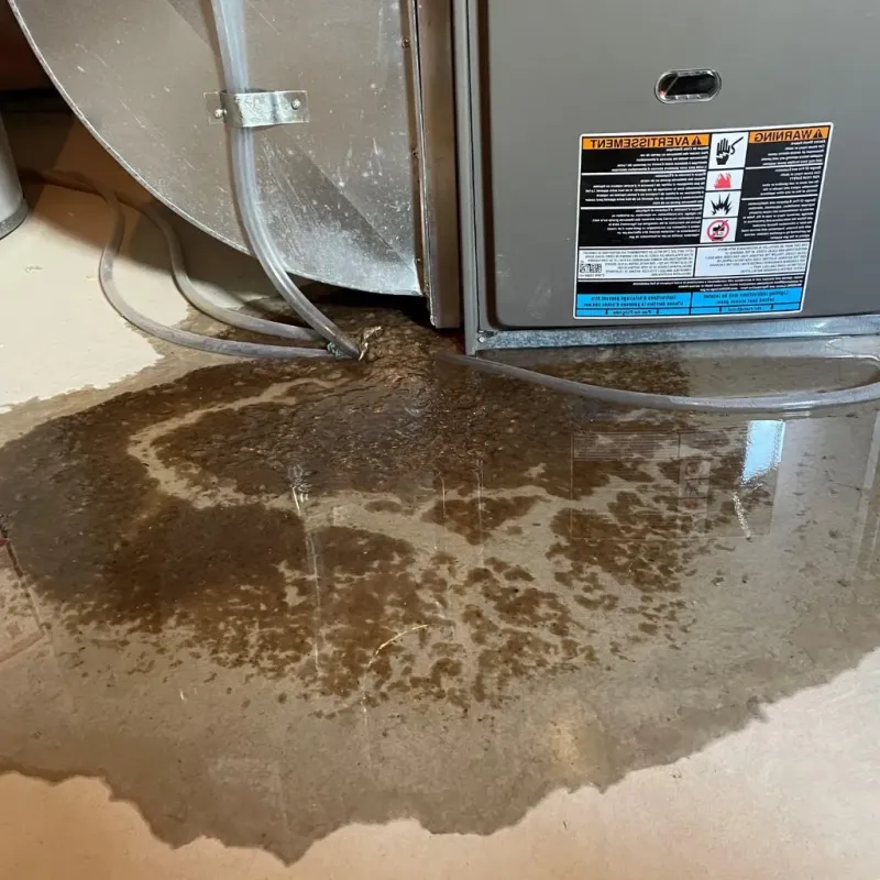 Pipe Burst and Leak Restoration in Smithfield, NC