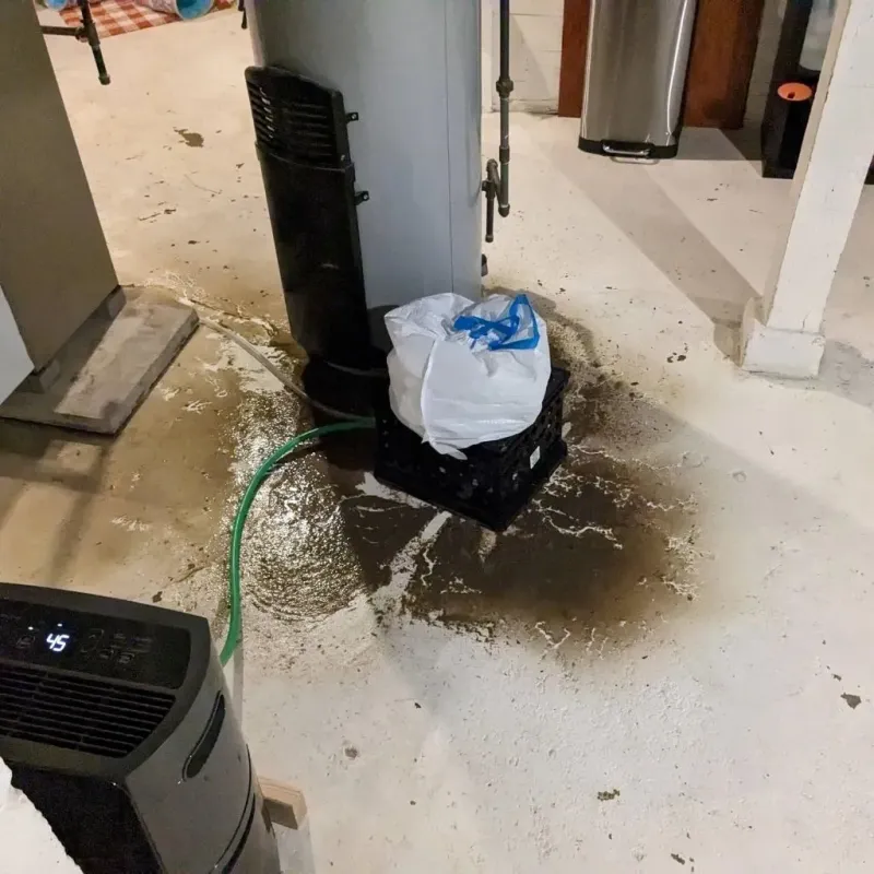 Sewage Backup Cleanup Service in Smithfield, NC
